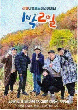 灵狐歌会 综艺 2026
